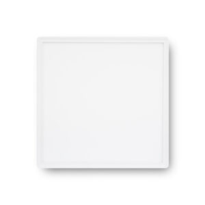 Square 24w 6500k White Surface Ceiling Panel