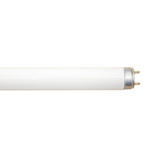 Fluorescent Tube T8 58w Cool White