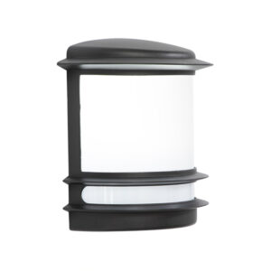 Kelvin Black Outdoor Wall Light