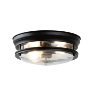 Sienna 2 Light Black Ceiling Light