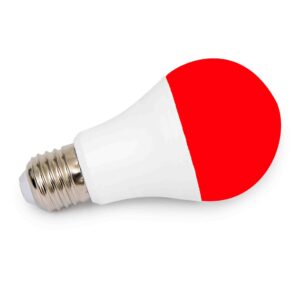 A60 Led 6w Red Globe