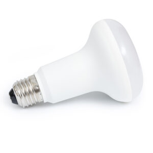 R80 Led 9w Cool White Globe