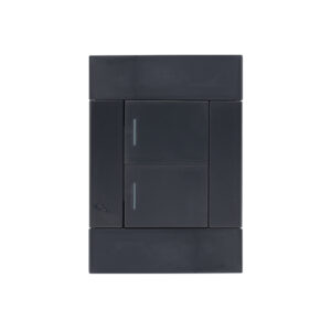 Veti 2 Charcoal 2 Lever 2 Way Wall Switch