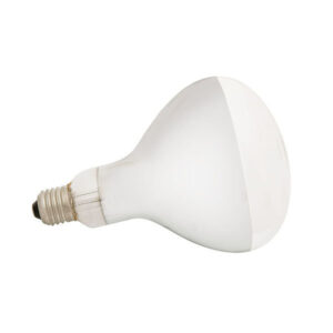 Ceiling Heater Globe 275w For 2 Light