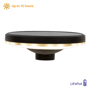 Austra Black Outdoor Solar Wall Light