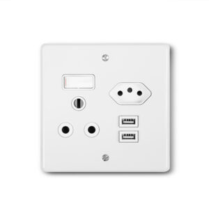 Lesco Steel White Wall Usb Plug