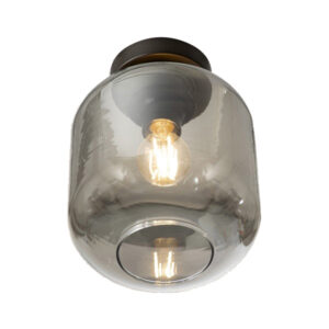 Robinson 1 Light Smokey Ceiling Light