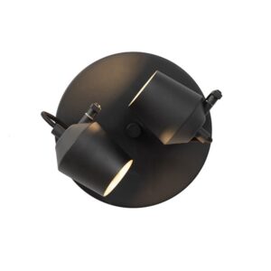 Maurice 2 Light Black Spot Light