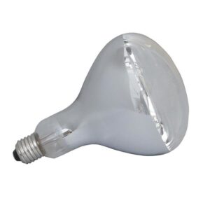 Ceiling Heater Globe 275w For 4 Light