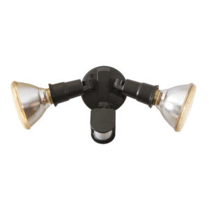 Par38 Black Motion Sensor Wall Light Excluding Globes