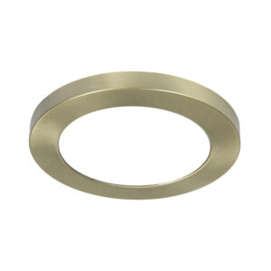 Round 12w Led 6000k Antique Brass Surface Ceiling Panel